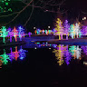 Meet your Posher, Vee